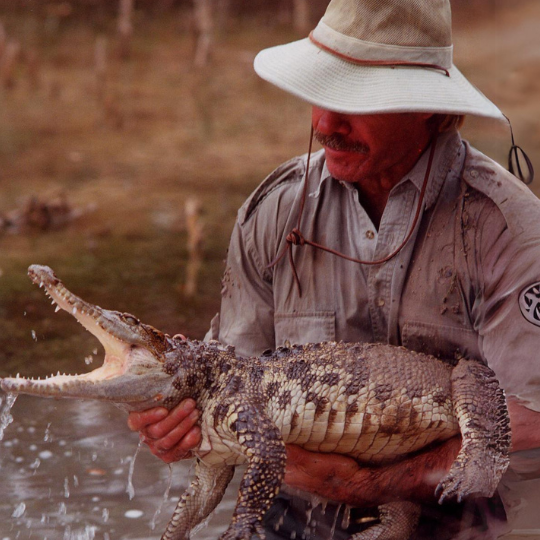 Wolves of the world kids petting