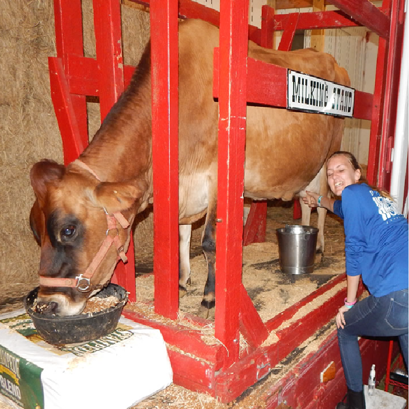 three main attractions 03