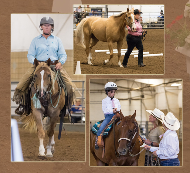 cowboy dressage show