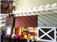 horseshoecafe official web